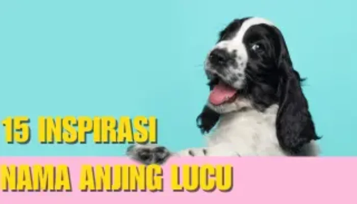 15 Inspirasi Nama Anjing Lucu Super Cute, Simak Now !
